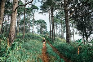 BIB: 
                            <button type="button" onclick="openModal(25652779)" class="btn btn-primary btn-sm float-right btn-popup" data-toggle="modal" data-target=".modal-high-quality">
                        <i class="fas fa-shopping-cart"></i> Add to Cart
                    </button>
                                            <button type="button" onclick="isThisMe(25652779, true)" class="btn btn-success btn-sm float-right btn-popup btn-isme hidden" data-toggle="tooltip" data-placement="bottom" title="นี่คือรูปของคุณใช่ไหม คลิกที่นี่เพื่อเอาเข้าอัลบั้ม">
                        <i class="fas fa-plus"></i> Add to album
                    </button>
                    <button type="button" onclick="isThisMe(25652779, false)" class="btn btn-warning btn-sm float-right btn-popup btn-isnotme hidden">
                        <i class="fas fa-ban"></i> Remove from album
                    </button>